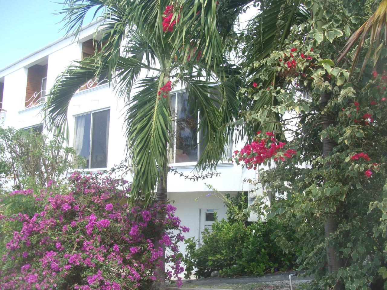 Coral Lane Beach Apartments Saint James Exterior foto